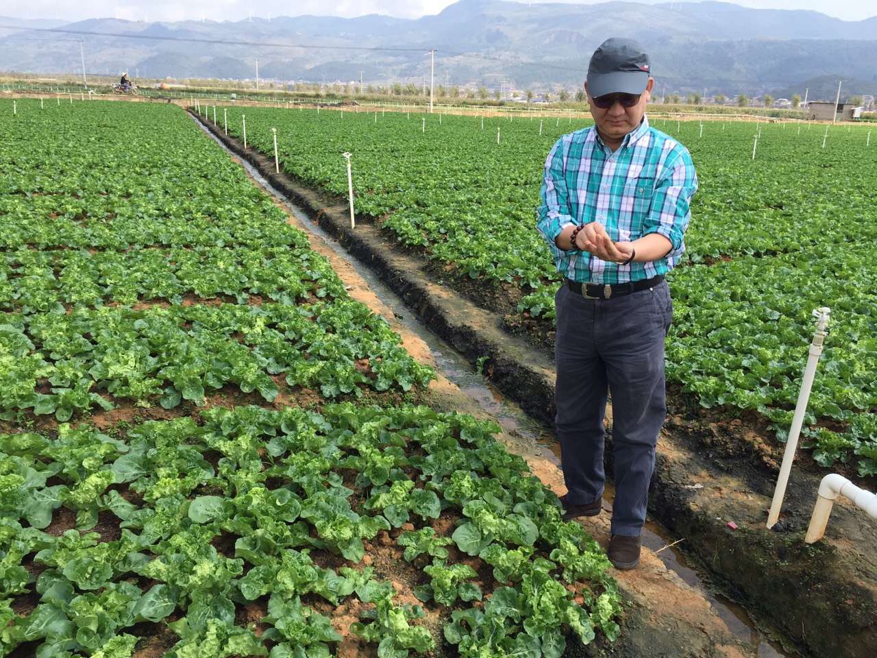 有机美微生物农用酵素制作及应用
