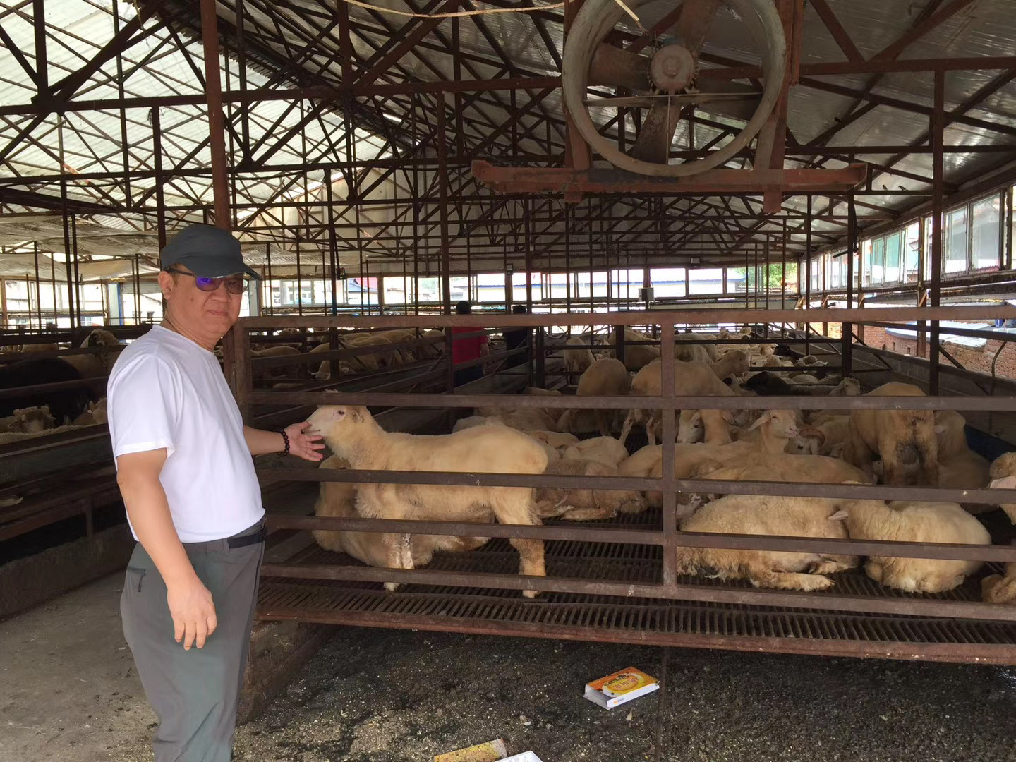 畜牧养殖的新篇章