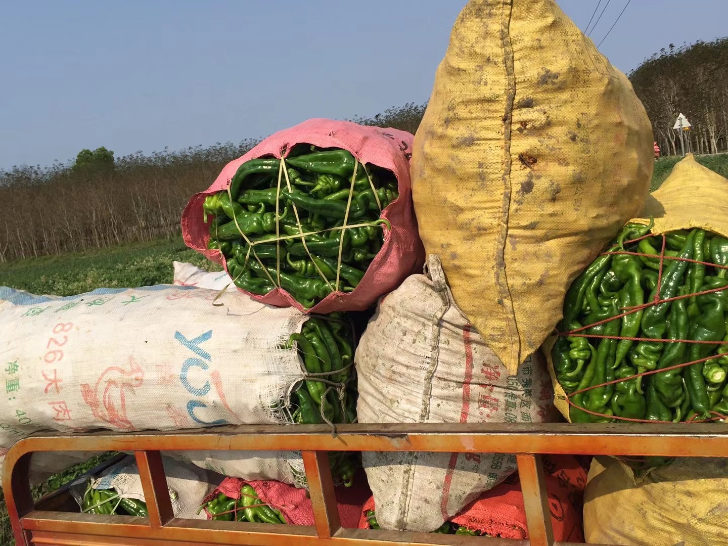 IMG_1068(20210818-164752).JPG IMG_1068(20210818-164752).JPG