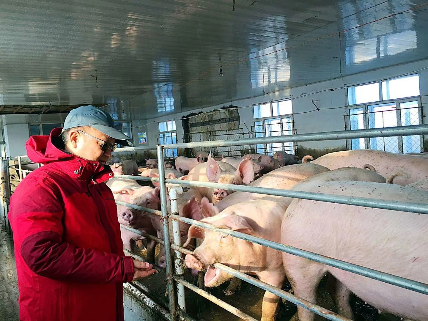 IMG_1085(20210818-165603).JPG IMG_1085(20210818-165603).JPG