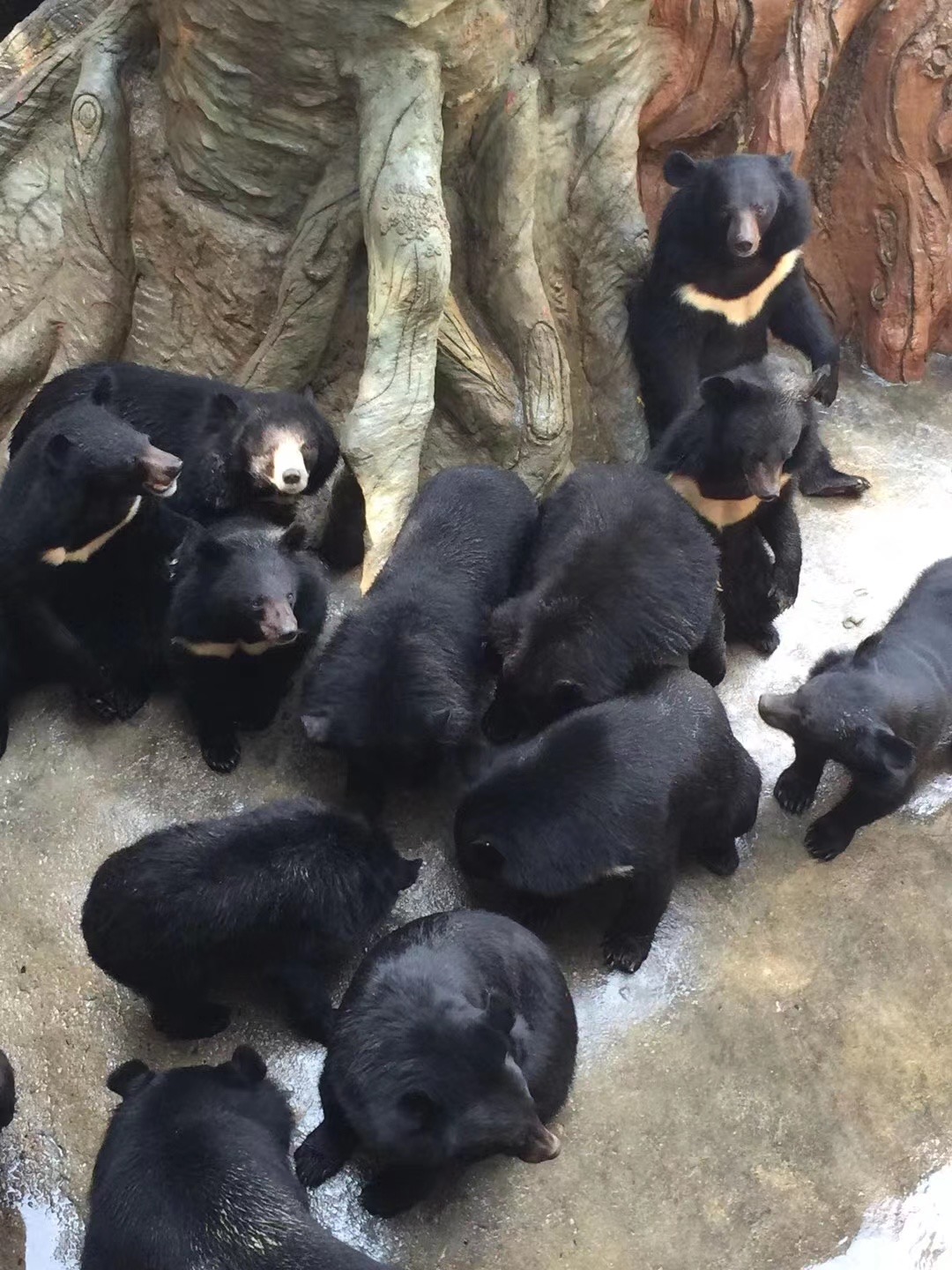 IMG_1086(20210818-165607).JPG IMG_1086(20210818-165607).JPG